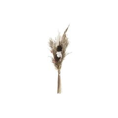букет DKD Home Decor сухой Коричневый Светло Pозовый Сухой цветок (10 x 7 x 56 cm) цена и информация | Искусственные цветы | 220.lv
