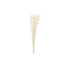 Ķekars DKD Home Decor Sauss Krēmkrāsa Kaltēts zieds (15 x 15 x 65 cm) cena un informācija | Mākslīgie ziedi | 220.lv