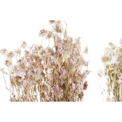 Ķekars DKD Home Decor Rozā Balts Kaltēts zieds (16 x 3 x 60 cm) (2 gb.) cena un informācija | Mākslīgie ziedi | 220.lv
