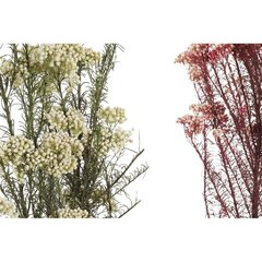 Ķekars DKD Home Decor Rozā Balts Kaltēts zieds (11 x 3 x 72 cm) (2 gb.) cena un informācija | Mākslīgie ziedi | 220.lv
