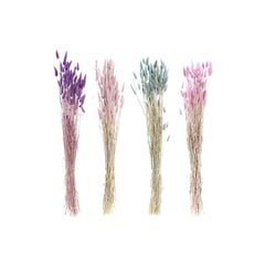 Ķekars DKD Home Decor Daudzkrāsains Kaltēts zieds (8 x 8 x 71 cm) (4 gb.) cena un informācija | Mākslīgie ziedi | 220.lv