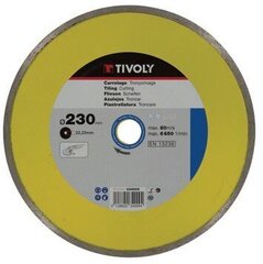 Dimanta disks Tivoly continuous 125x22,2mm cena un informācija | Rokas instrumenti | 220.lv