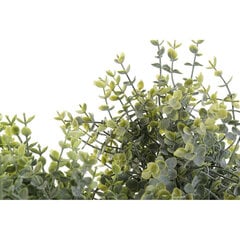 Dekoratīvs Augs DKD Home Decor Polietilēns Zaļš Sveķi (2 gab.) (19 x 19 x 27 cm) cena un informācija | Mākslīgie ziedi | 220.lv