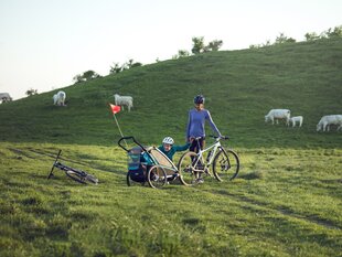 Bērnu velosipēda rati Chariot Jog Kit 2 – Lite/Cross cena un informācija | Velosipēdu piekabes, rati | 220.lv