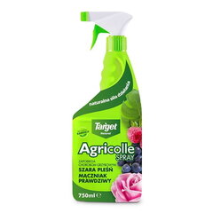 Средство для ухода за растениями Agricole Spray, для овощей и цветов (против болезней), 750мл цена и информация | Средства для ухода за растениями | 220.lv