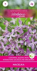 Семена маттиолы Werbena цена и информация | Семена цветов | 220.lv