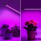 Augu audzēšanas LED lampa komplekts ar 150 cm statīvu un taimeri 4x цена и информация | Diedzēšanas trauki, augu lampas | 220.lv