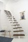 Moduļu kāpnes Comfort Top Minka, Baltā / Rieksts. Komplektā augstums: 312 cm cena un informācija | Kāpnes | 220.lv