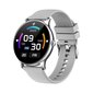 Livman Z12 Pro Silver cena un informācija | Viedpulksteņi (smartwatch) | 220.lv