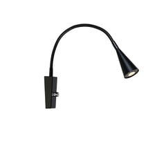 Belid Настенный светильник Ledro 529107 цена и информация | Настенные светильники | 220.lv