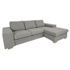 Corner sofa DAGMAR beige цена и информация | Угловые диваны | 220.lv