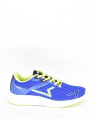 Обувь в спортивном стиле для мужчин Paredes 13623109.46, синяя цена и информация | Кроссовки мужские | 220.lv