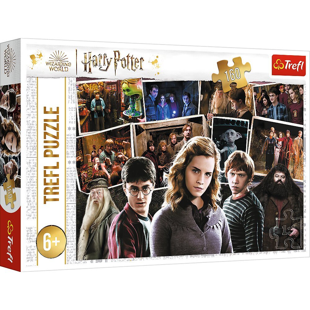 Puzle Trefl Harry Potter, 160 gab. цена и информация | Puzles, 3D puzles | 220.lv