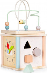 Деревянный образовательный куб Ecotoys цена и информация | Развивающие игрушки | 220.lv