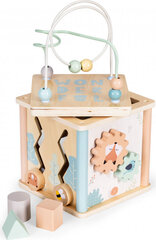 Деревянный образовательный куб Ecotoys цена и информация | Развивающие игрушки | 220.lv