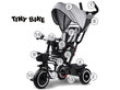 Tricikls Tiny Bike SP0650, pelēks cena un informācija | Trīsriteņi | 220.lv