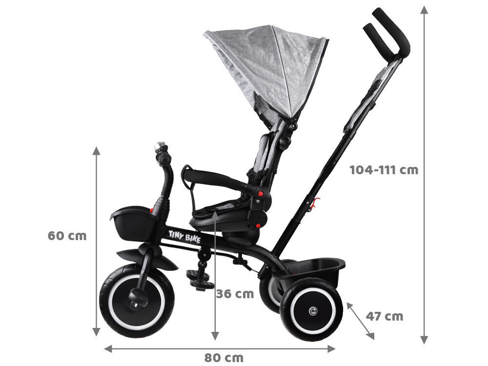 Tricikls Tiny Bike SP0650, pelēks cena un informācija | Trīsriteņi | 220.lv