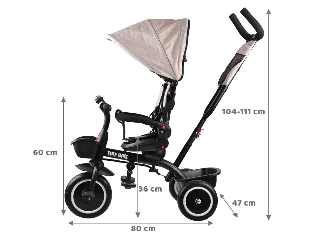 Tricikls Tiny Bike SP0650, brūns cena un informācija | Trīsriteņi | 220.lv