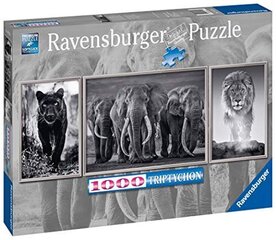 Puzle Ravensburger 16729, 1000 gab. cena un informācija | Puzles, 3D puzles | 220.lv