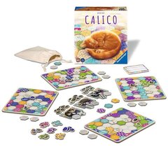 Настольная игра Calico Nordic цена и информация | Настольная игра | 220.lv