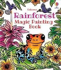 Rainforest Magic Painting Book cena un informācija | Grāmatas mazuļiem | 220.lv