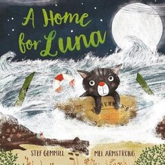 Home for Luna цена и информация | Книги для самых маленьких | 220.lv