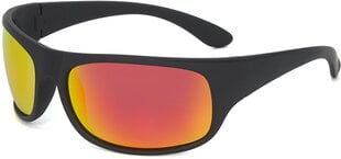 Солнцезащитные очки Label L1582P Polarized цена и информация | Солнцезащитные очки для мужчин | 220.lv