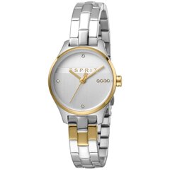 Женские часы Esprit ES1L054M0085 цена и информация | Женские часы | 220.lv