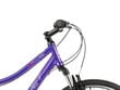 Velosipēds Romet Orkan D Lite 28" 2023, violets cena un informācija | Velosipēdi | 220.lv