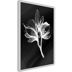 Plakāts White Plant, balts rāmis, 30x45 cm цена и информация | Картины | 220.lv