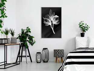 Plakāts White Plant, balts rāmis, 20x30 cm цена и информация | Картины | 220.lv
