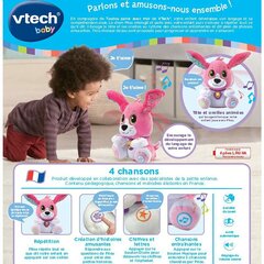 Плюшевая игрушка, издающая звуки Vtech Baby Doggie Talk to me (FR) Пёс цена и информация | Развивающие игрушки | 220.lv