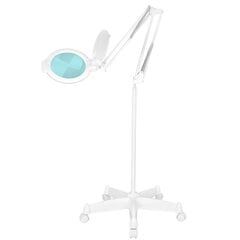 Профессиональная косметологическая LED лампа-лупа MOONLIGHT 8013/6, белого цвета (с подставкой) цена и информация | Мебель для салонов красоты | 220.lv