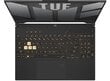 Asus TUF Gaming A15 (FA507NV-LP025W) цена и информация | Portatīvie datori | 220.lv
