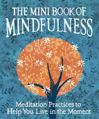 Mini Book of Mindfulness: Simple Meditation Practices to Help You Live in the Moment cena un informācija | Pašpalīdzības grāmatas | 220.lv