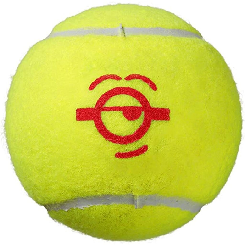 Āra tenisa bumbiņas Wilson Starter Red Minions 3 gab. cena un informācija | Āra tenisa preces | 220.lv