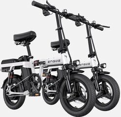 Электровелосипед Engwe T14, белый, 250Вт, 10Ач 2 шт цена и информация | Электровелосипеды | 220.lv