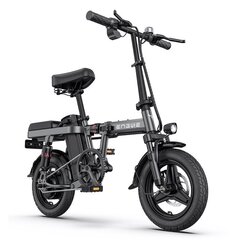 Электровелосипед Engwe T14, серый, 250Вт, 10Ач 2 шт. цена и информация | Электровелосипеды | 220.lv