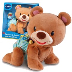 Vtech interaktīvais talismans Creepy Teddy Bear Tuptus poļu valodā cena un informācija | Mīkstās (plīša) rotaļlietas | 220.lv