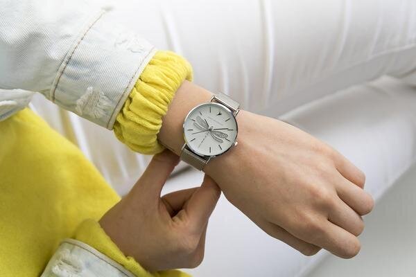 Sieviešu pulkstenis Emily Westwood EBR-2518 cena un informācija | Sieviešu pulksteņi | 220.lv