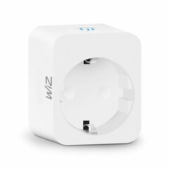 Smart Plug Wiz Smart Plug цена и информация | Электрические выключатели, розетки | 220.lv