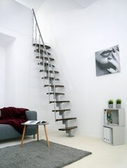 Moduļu kāpnes NIZZA Minka, Sudraba / Rieksts. Komplektā augstums: 294 cm цена и информация | Лестницы | 220.lv