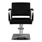 Profesionāls frizieru krēsls HAIR SYSTEM HS202, melns цена и информация | Mēbeles skaistumkopšanas saloniem | 220.lv