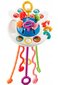 Daudzfunkcionāla rotaļlieta bērniem PULL STRING TOY цена и информация | Rotaļlietas zīdaiņiem | 220.lv