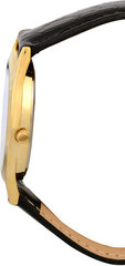 Sieviešu analogais pulkstenis Secco S A5036,2-131 cena un informācija | Sieviešu pulksteņi | 220.lv