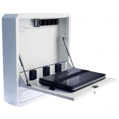 Навесной шкаф безопасности для компьютера Techly 19" белый цена и информация | Рюкзаки, сумки, чехлы для компьютеров | 220.lv