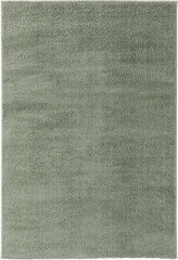 Benuta paklājs Soda, 120x170 cm cena un informācija | Paklāji | 220.lv