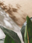 Benuta paklājs Naoto, 80x150 cm цена и информация | Paklāji | 220.lv