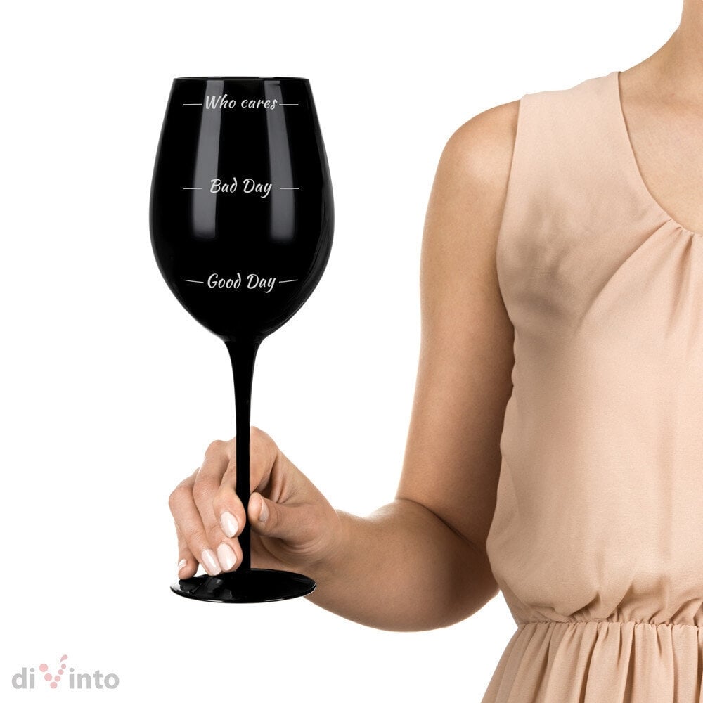 Vīna glāžu futrālis un 2 lielas glāzes ar uzrakstu, 750 ml cena un informācija | Oriģinālas krūzes | 220.lv
