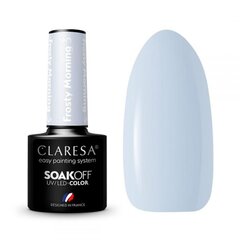 Стойкий гибридный гель лак для ногтей CLARESA Frosty Morning 3, 5 г цена и информация | Лаки для ногтей, укрепители | 220.lv